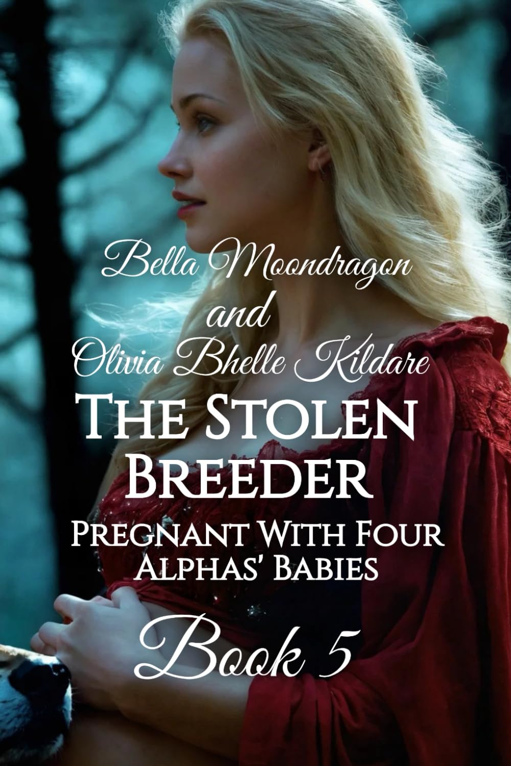 The Stolen Breeder: Pregnant With Four Alphas' Babies Book 5