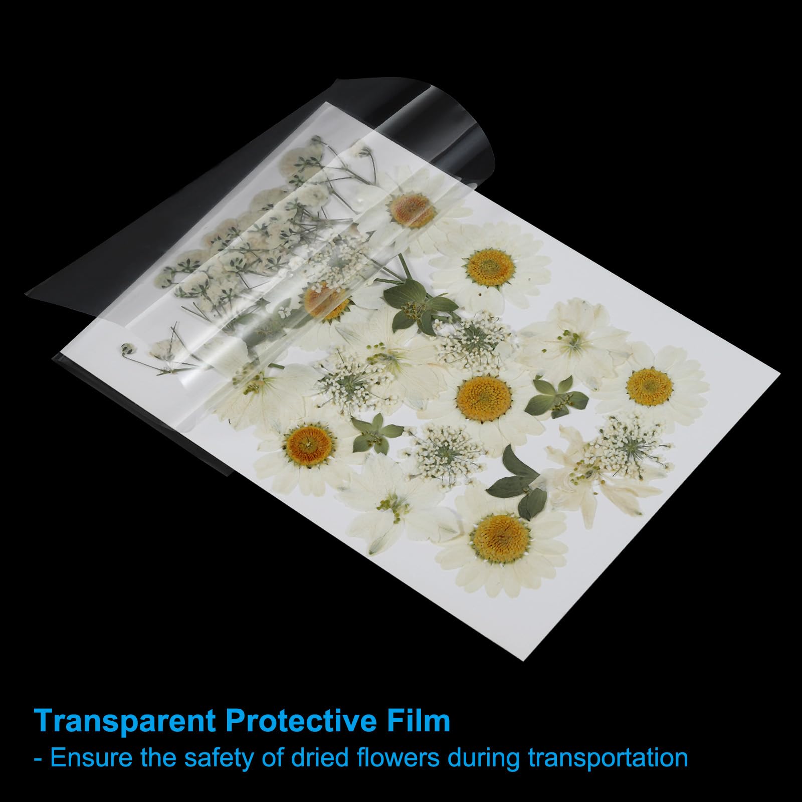 PATIKIL Dried Pressed Flowers - Image 3