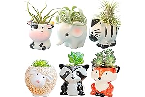 Animal Shaped Ceramic Plant Pots For Mini Succulents