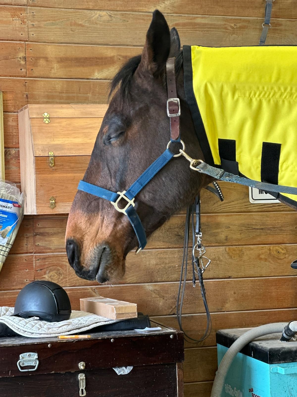 Thermotex Equine Far Infrared Heating 12 Pad Blanket