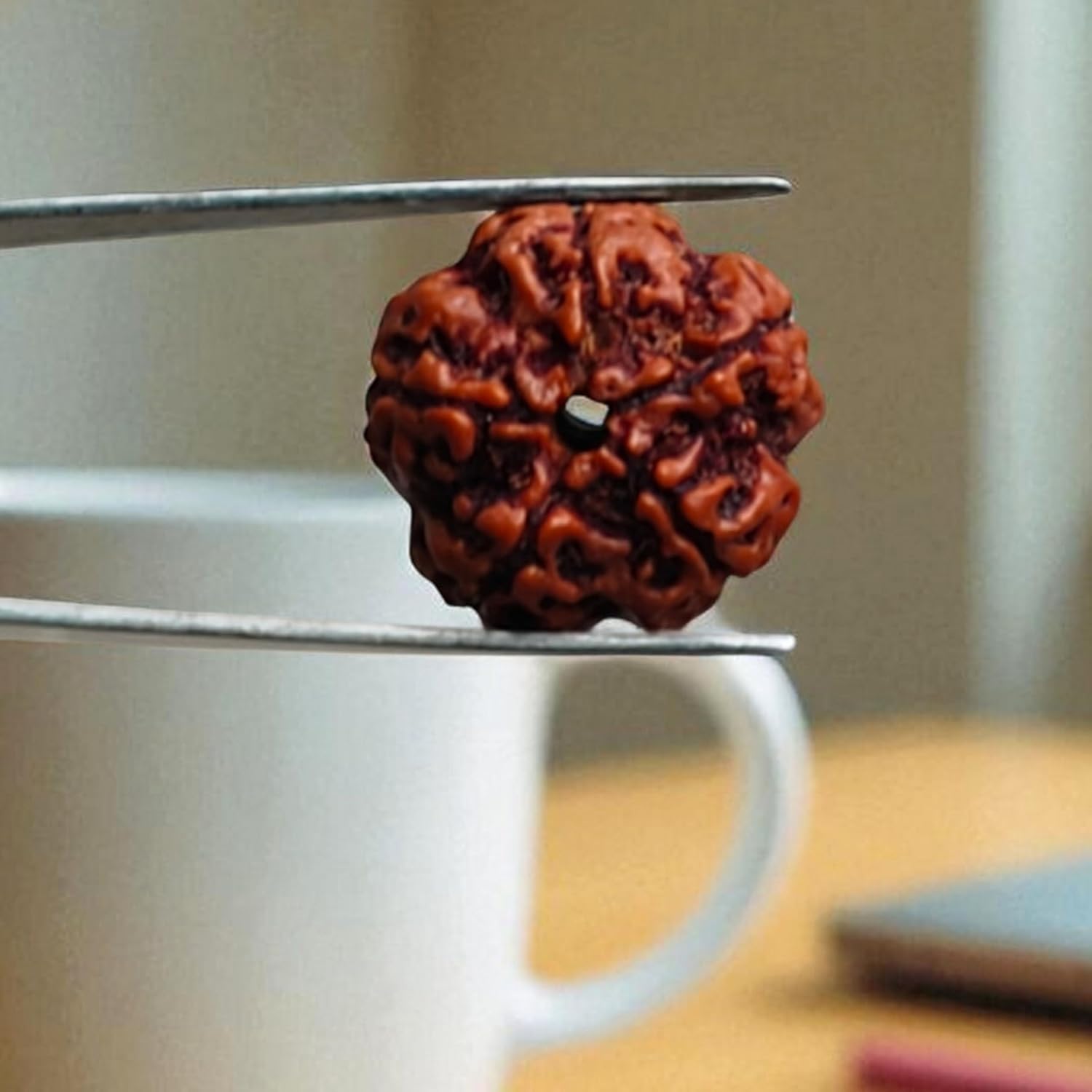 Original 5 Mukhi Rudraksha Bead from Nepal – Five Faced Natural Rudraksh with Lab Certified | Spiritual & Astrological Use | Genuine Elaeocarpus Ganitrus Bead | Unisex for Men & Women - Image 7