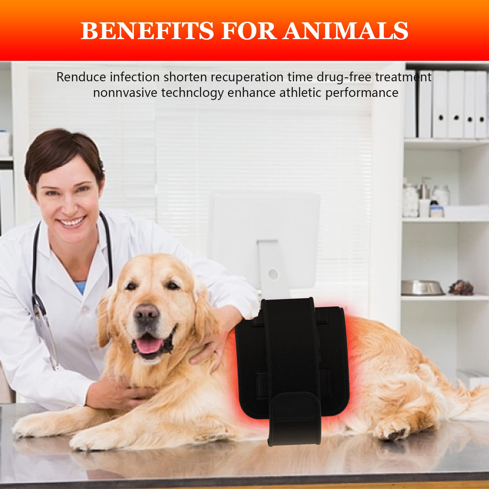 https://m.media-amazon.com/images/I/7123DLSsnPL.jpg