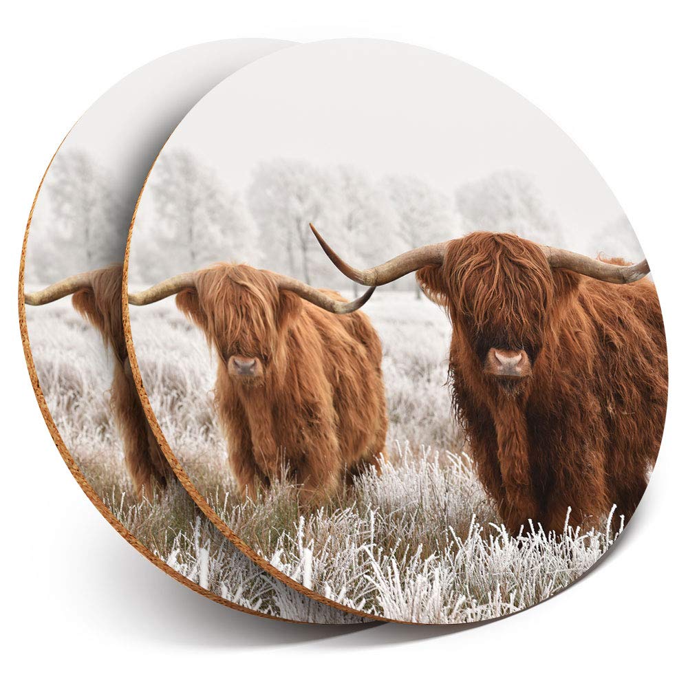 Destination Vinyl ltd Great Coasters (Set of 2) Round with - Winter Highland Cow Scotland Drink Glossy Coasters/Tabletop Protection for Any Table Type #14591