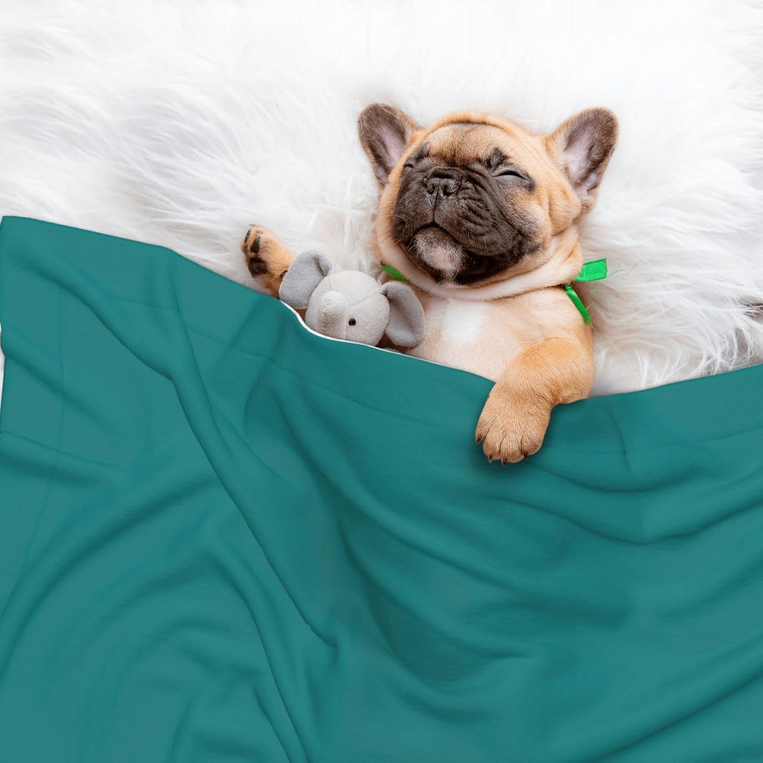 review Teal Waterproof Dog Blanket - Soft Plush Throw Protects Bed, Couch, Or Car from Spills,Scratching, Or Pet Fur - Large