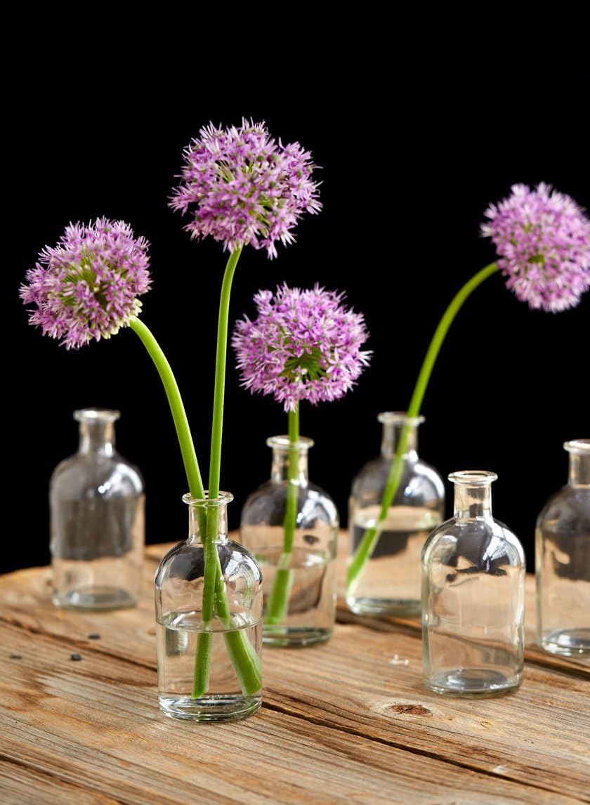 Serene Spaces Living (6 Pack) Bud Vases for Apothecary Jars, Decorative Glass Bottles, Wedding Reception Centerpieces, Mini Flower Vases, Small Medicine Bottles for Home Decor