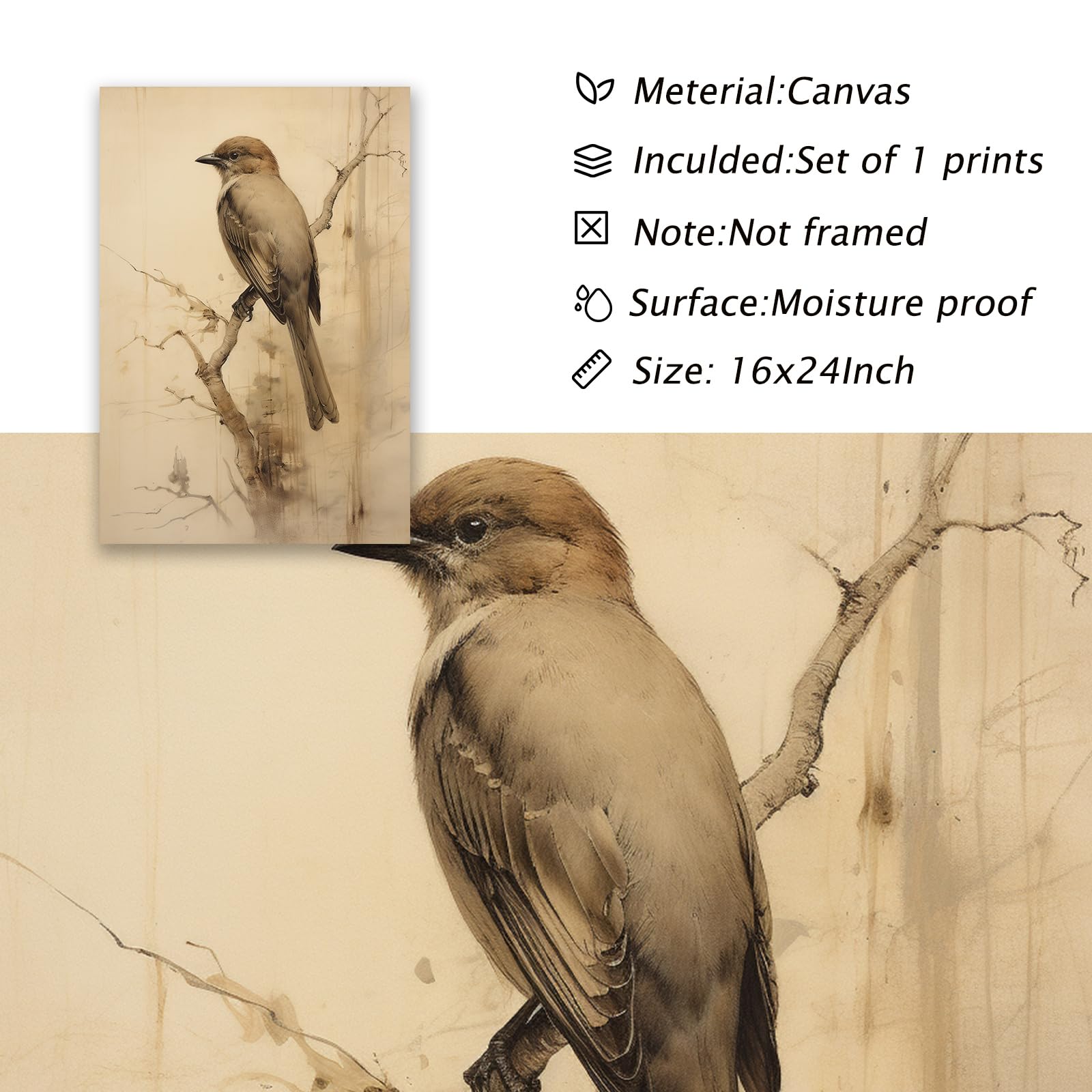 Amazon.co.jp: ヴィンテージ鳥キャンバスウォールアート フランスの