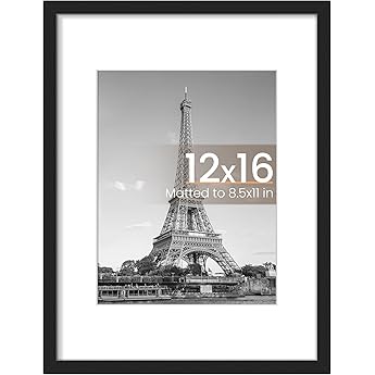 MCS Studio Gallery 16x20 Matted Poster Frame with 12x16 Picture Display, Black Woodgrain Vertical & Horizontal Wall Hanging Large Picture Frame for Photos, Posters & Art Prints (1-Pack)