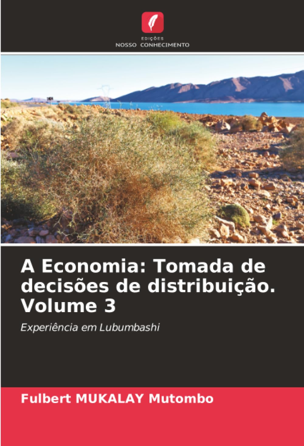 A Economia: Tomada de decisões de distribuição. Volume 3: Experiência em Lubumbashi