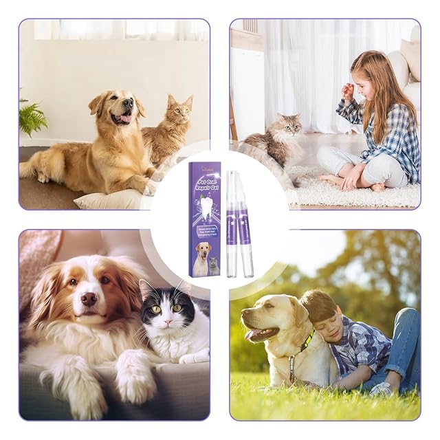 Foto 6 de 7 de 6 PiezasPet Oral Repair Gel,Gel Restaurador Oral para Mascotas,Lápiz de Limpieza para Mascotas Cepillo…