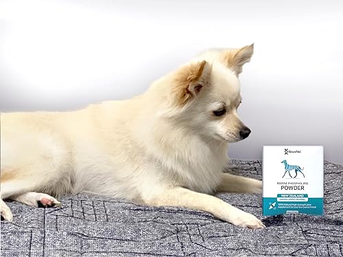 Miniatura 4 de Cuidado de cadera y articulaciones para perros, polvo de salud de mejillón de labios verdes, suplemento de cadera y articulaciones, glucosamina