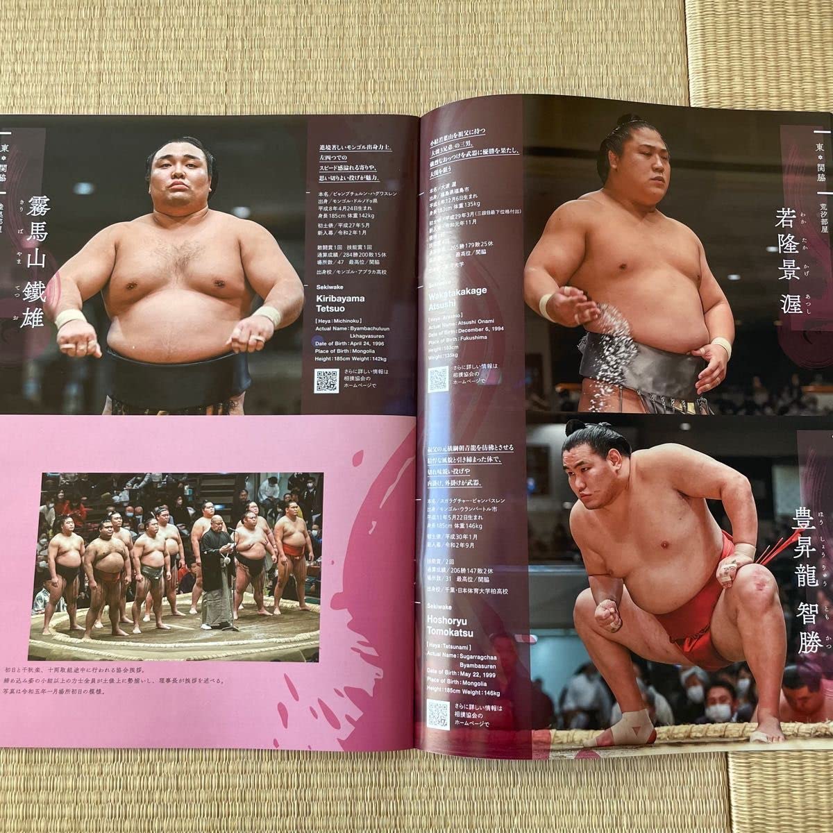Amazon.co.jp: 大相撲 三月場所 パンフレット : 文房具