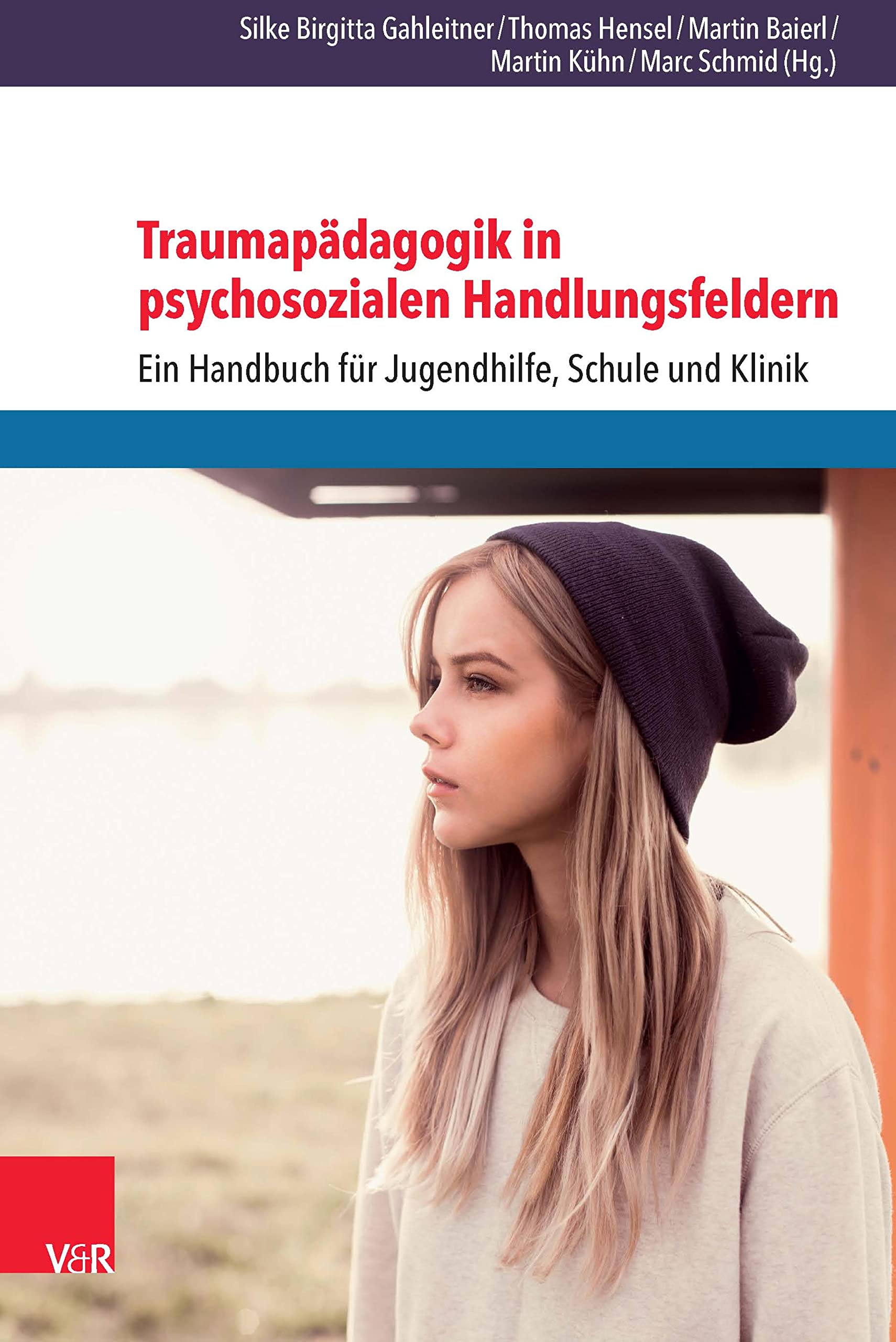 Traumapädagogik in psychosozialen Handlungsfeldern: Ein Handbuch für Jugendhilfe, Schule und Klinik (German Edition)