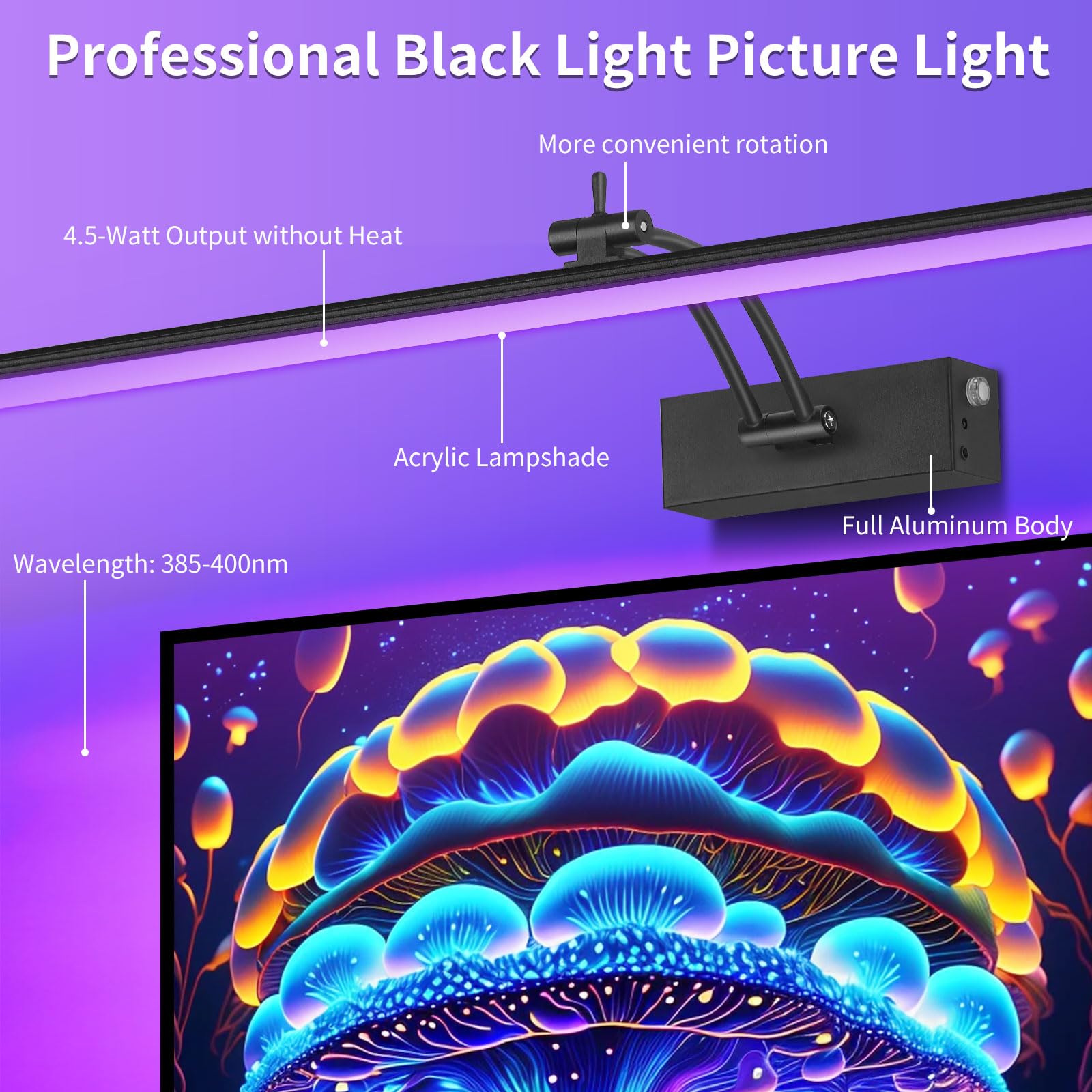https://m.media-amazon.com/images/I/7123V8uiZaL.jpg