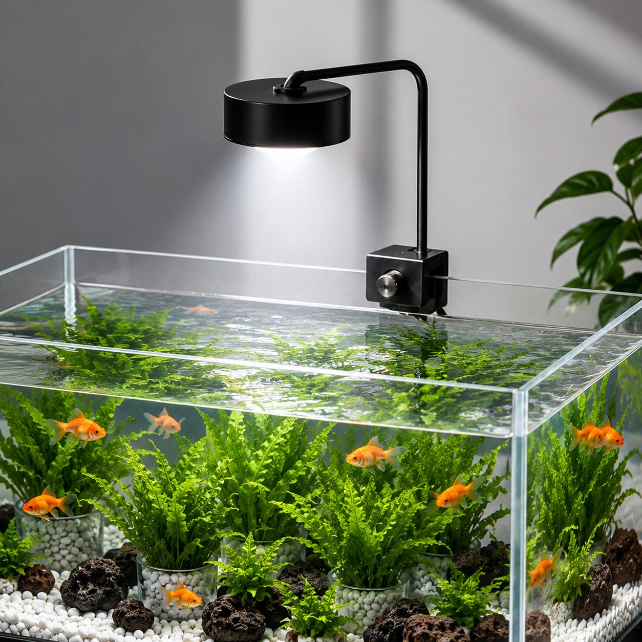 VAYINATO® WH-570 Aquarium LED Clip Light 8W | White LED Aquarium Lamp for 20–30cm Fish Tanks | AC 220V Energy Efficient Lighting | Easy Clip-On Design for Nano Tanks Aquariums-image-14