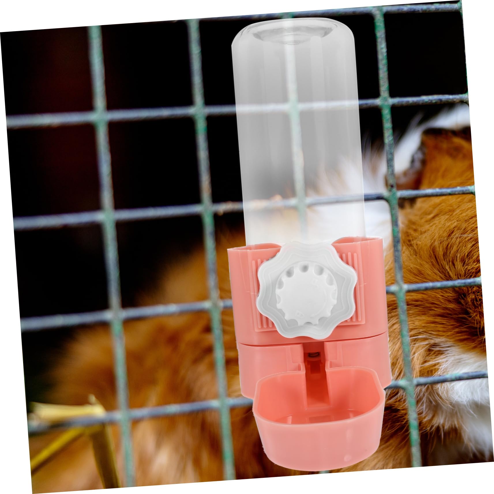 INOOMP 3piezas Botella De Agua para Hámster y Conejos Dispensador Automático De Agua Accesorio Colgante para Mascotas Bebedero Limpio y Compacto para Hogar y