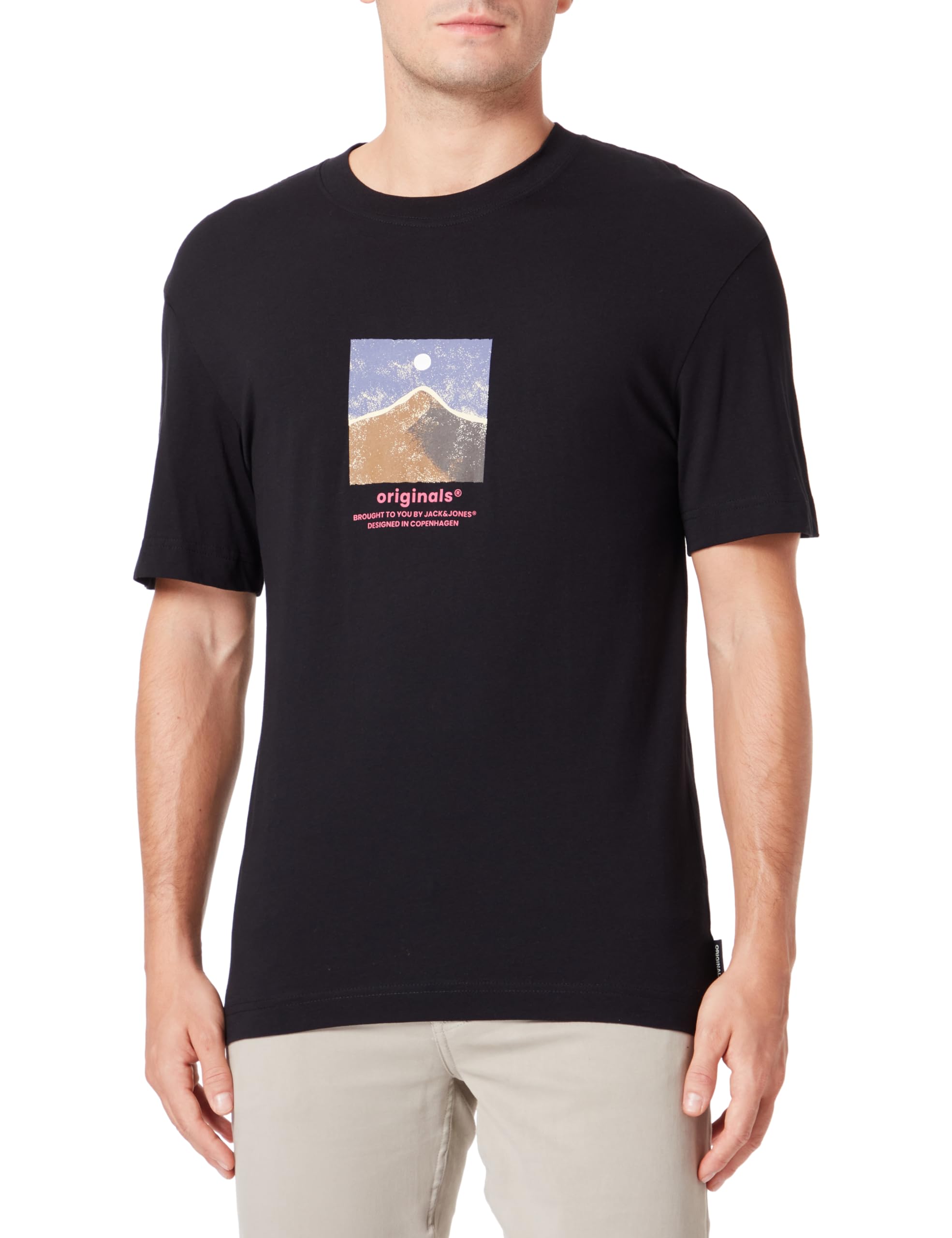 JORSILVERLAKE GRAPHIC TEE SS CREW NECK Tişört Erkek