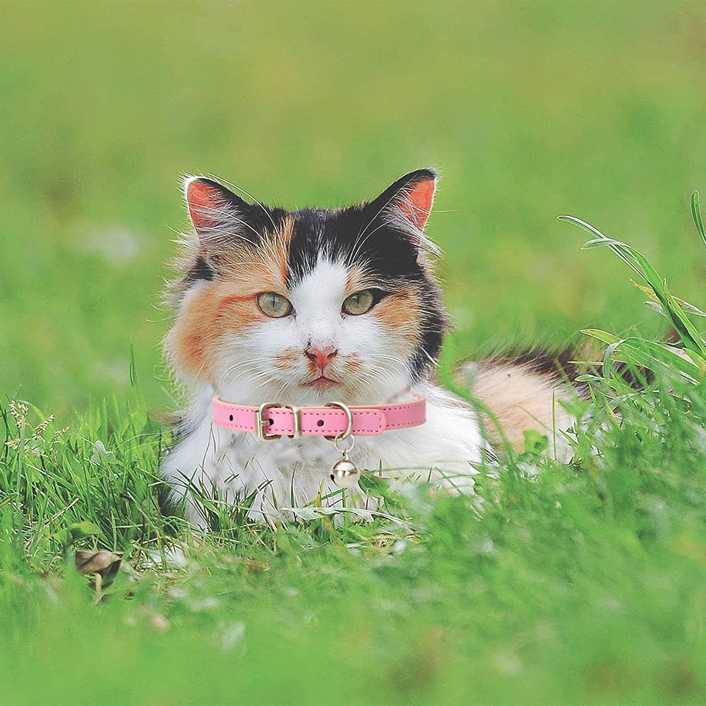 5 Pezzi Collare per Gatto in Pelle,Regolabile Collare Animali Domestici con Campana,Fibbia di Sgancio di Sicurezza Collare per Gatti Animaletti Picoli Cani