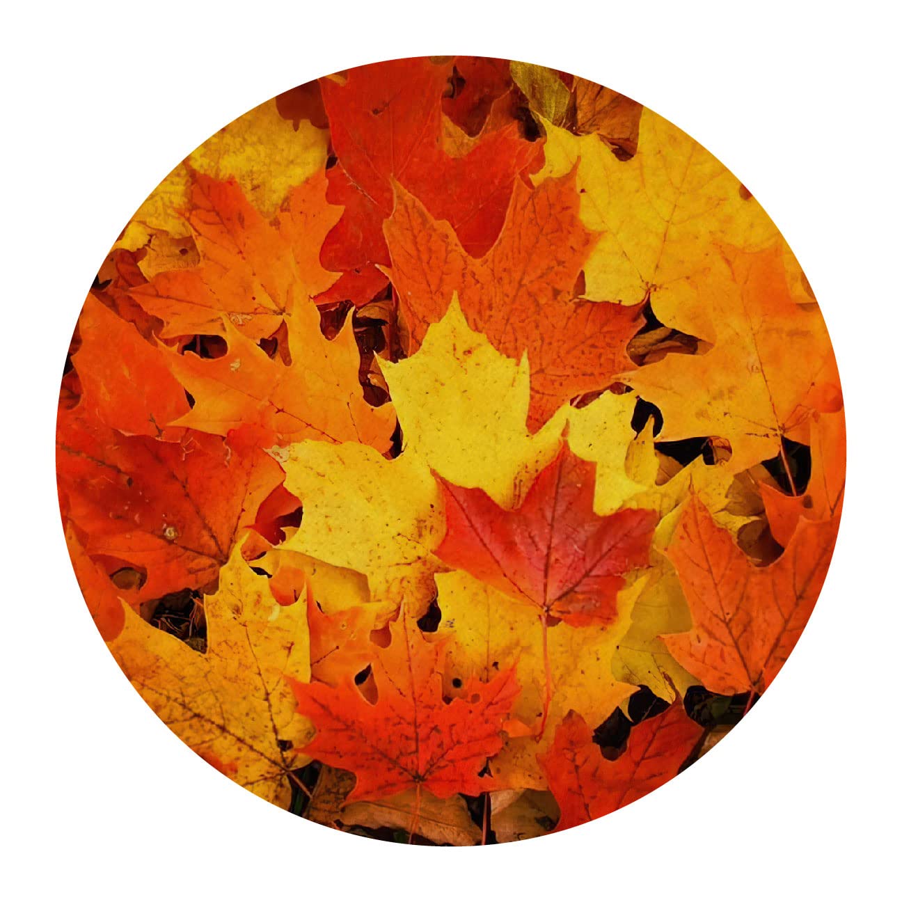 QUICQOD Autumn Fall Yellow Leaves Seasonal Cottagecore Mouse Pad 8.7 x 8.7 Inches,Non-Slip Rubber Base Mousepads for Home Office Dorm Desk Decor,Gifts for Fall Lovers