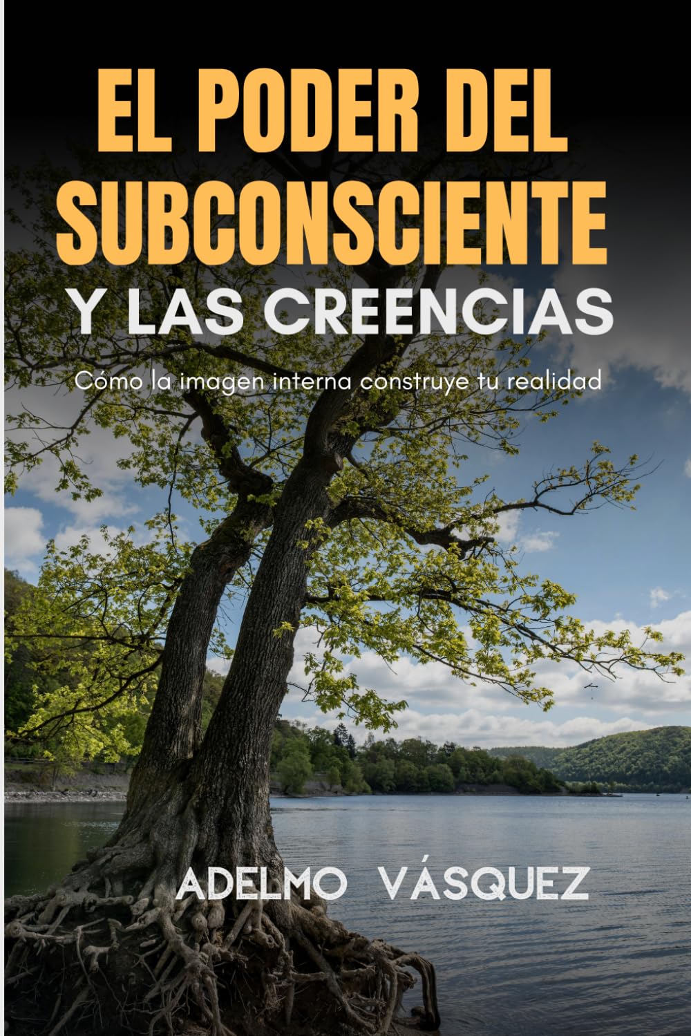 EL PODER DEL SUBCONSCIENTE Y LAS CREENCIAS: CÓMO LA IMAGEN INTERNA CONSTRUYE TU REALIDAD