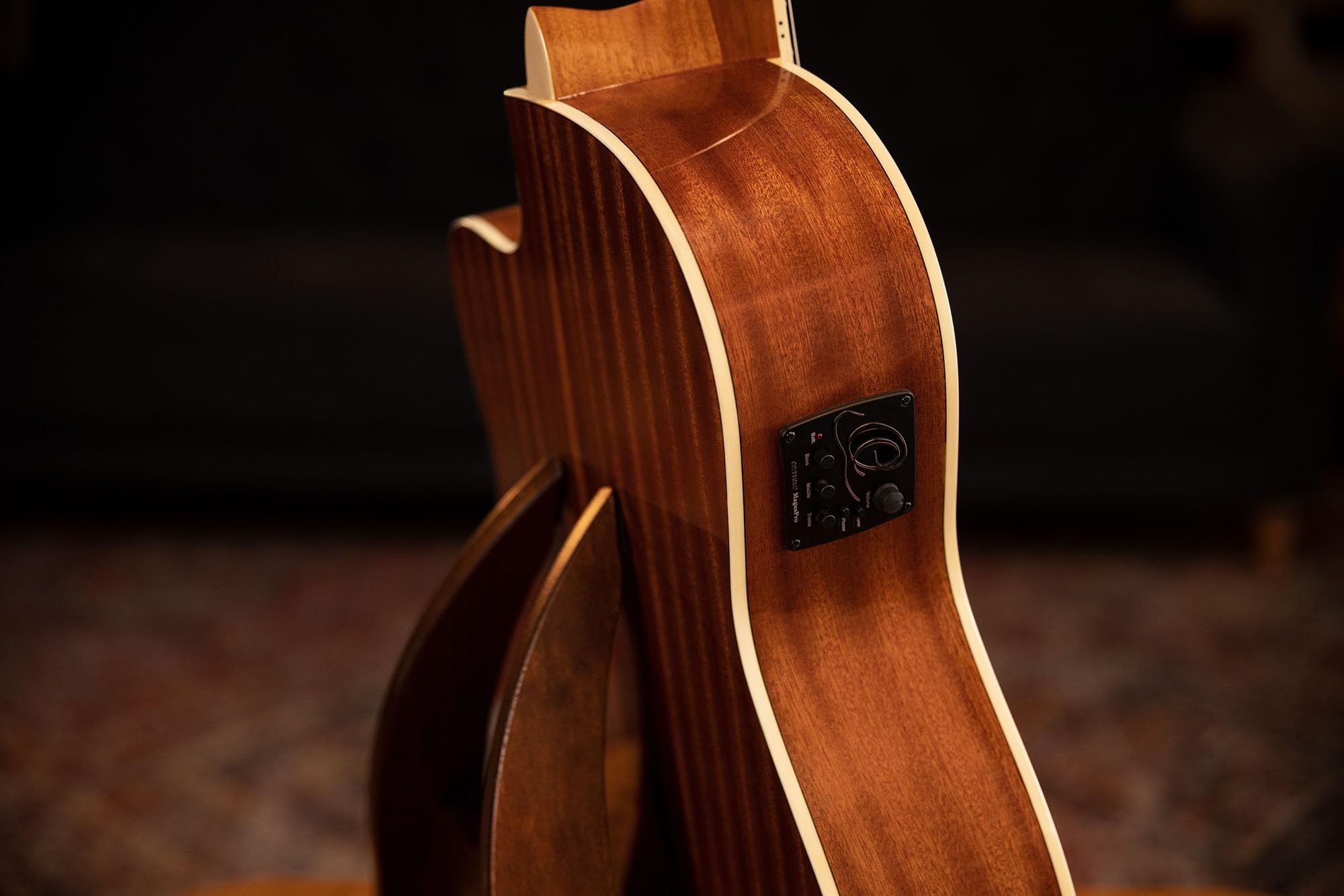 Ortega Guitars Family Series Pro - Guitarra de concierto de tamaño completo (electroacústica, abeto y caoba, incluye funda (RCE141NT)