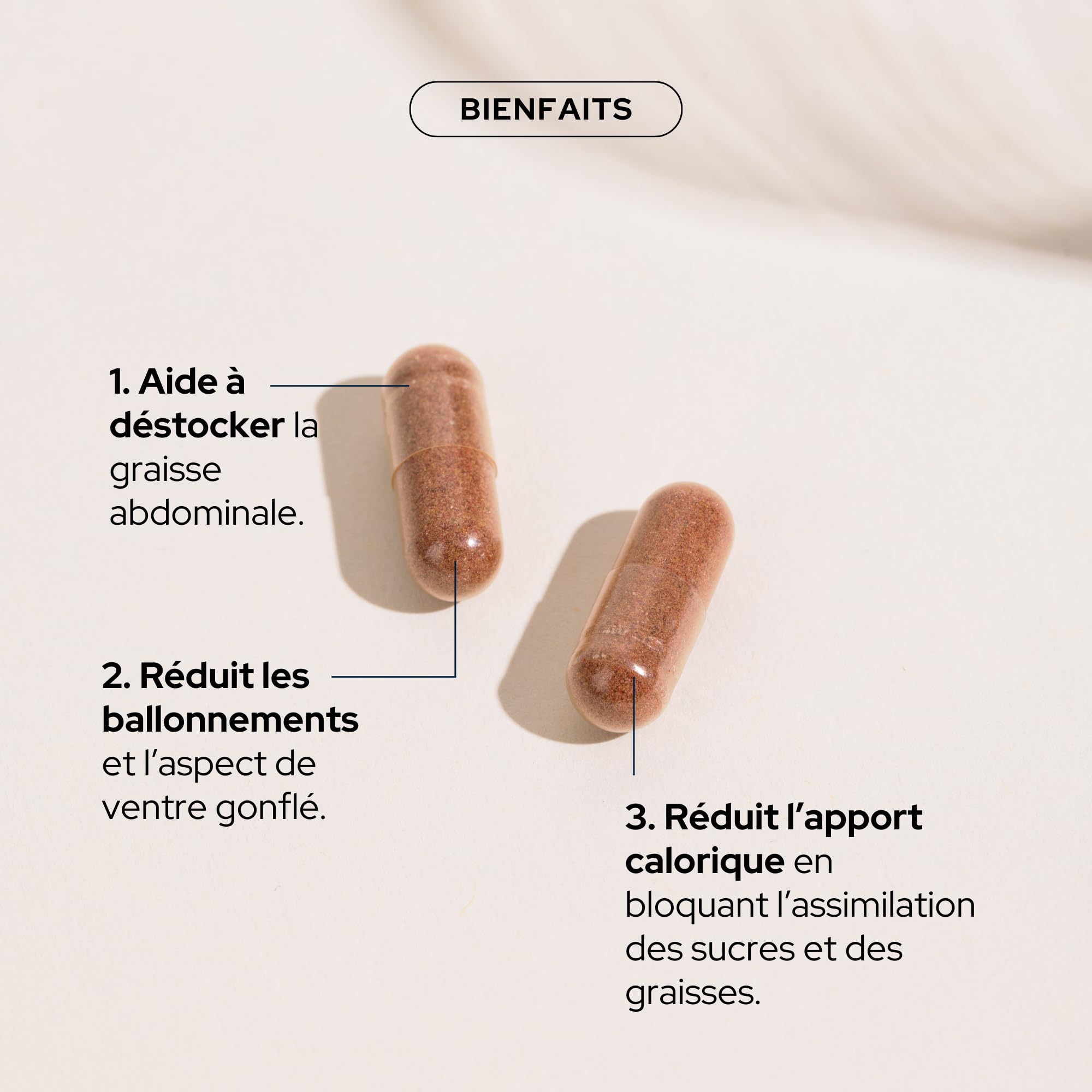 EPYCURE - Cure Ventre Plat - Réduction des Graisses Abdominales, Ballonnements, Silhouette Affinée - 100% Naturel - Pépins de raisin, Piment Cayenne, Probiotiques - Vegan Made in France (Coffret de 3)