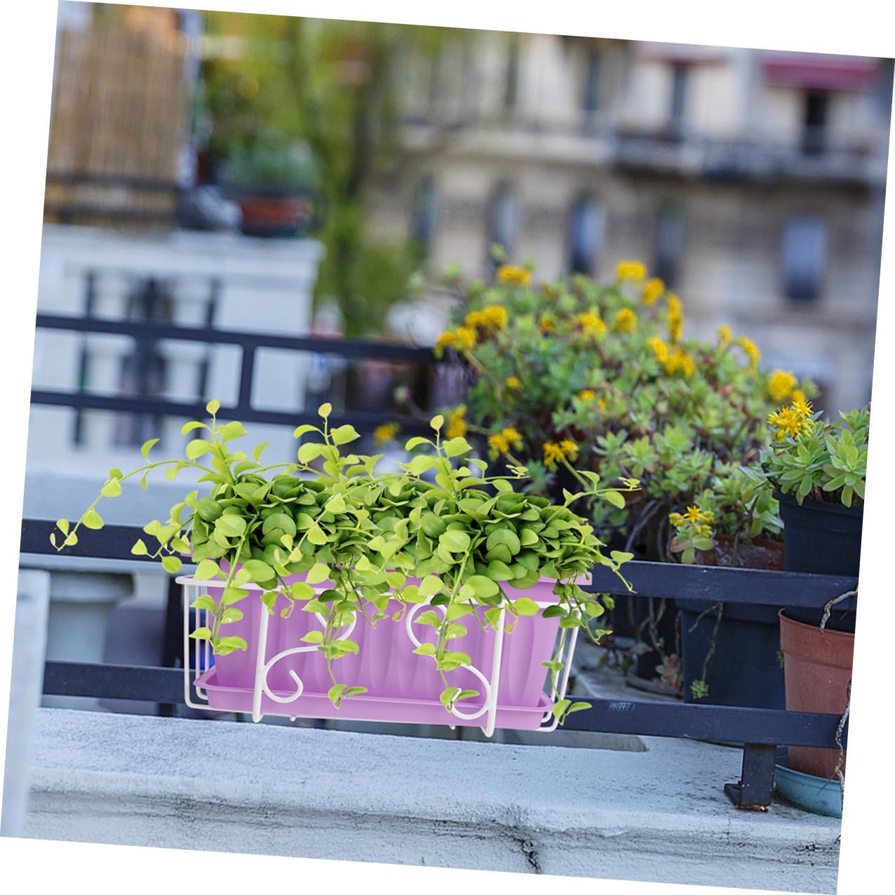 DOITOOL Rectangular Vegetable Planter Box with White Iron Bracket and Saucer, Medium Resin Flower Pot for Hanging Balcony Railing Garden and Windowsill Plant Container