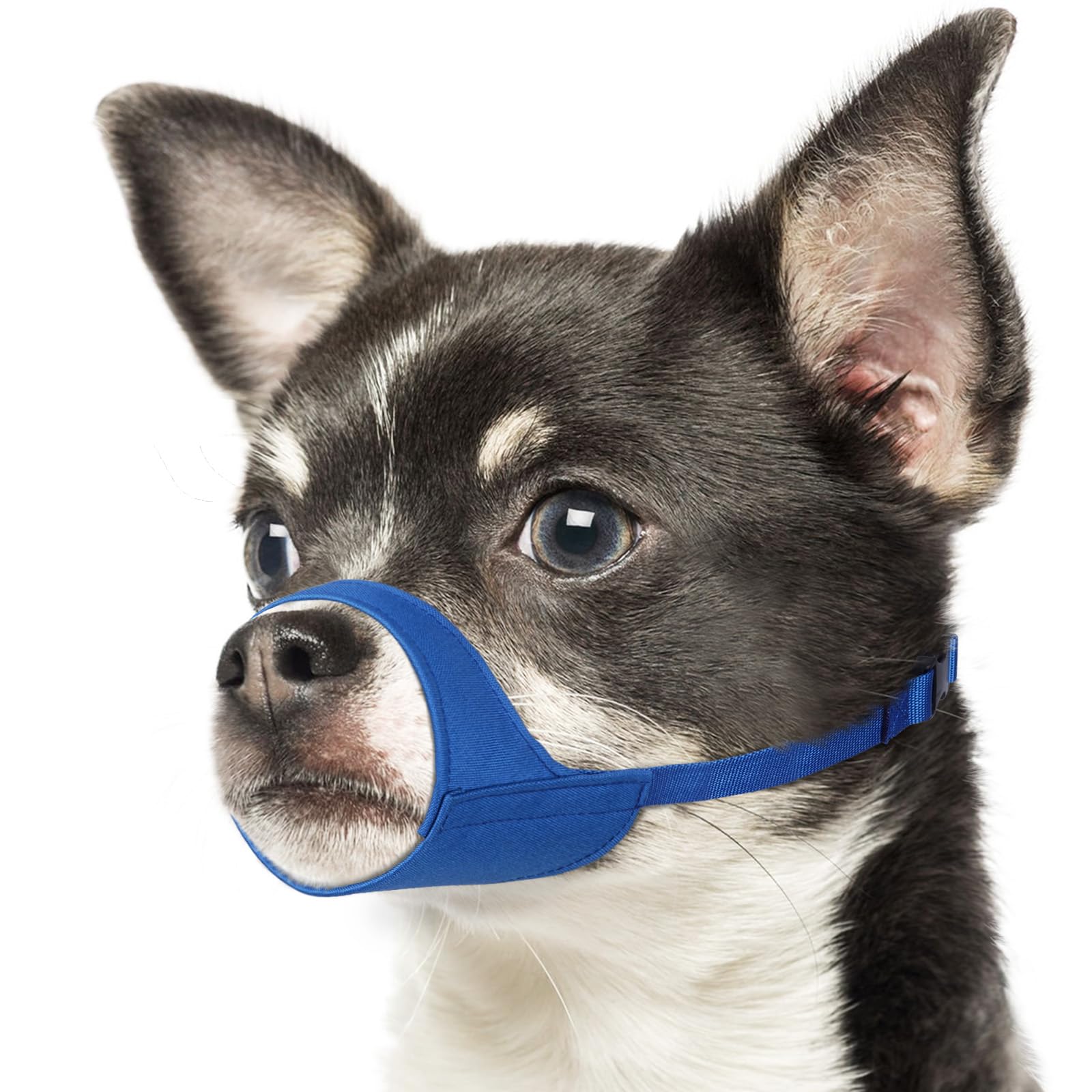 Mayerzon Short Snout Dog Muzzle for Small Medium Dogs, Soft & Sturdy Fabric, Anti Excessive Biting Chewing, Suits Chihuahua Shih Tzu Maltese for Grooming Vet Visits Walk, Allows Drinking(Blue, XS)