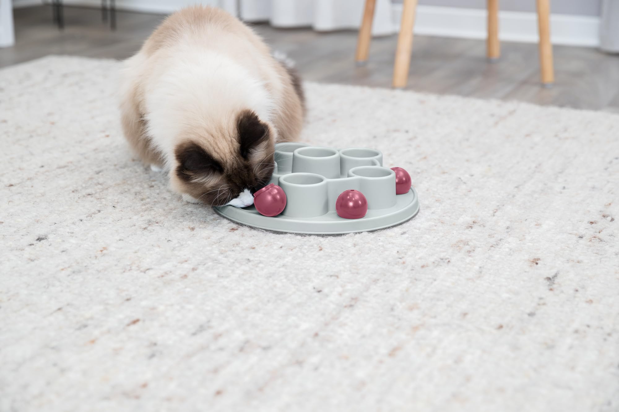 TRIXIE Cat Activity Pentagon