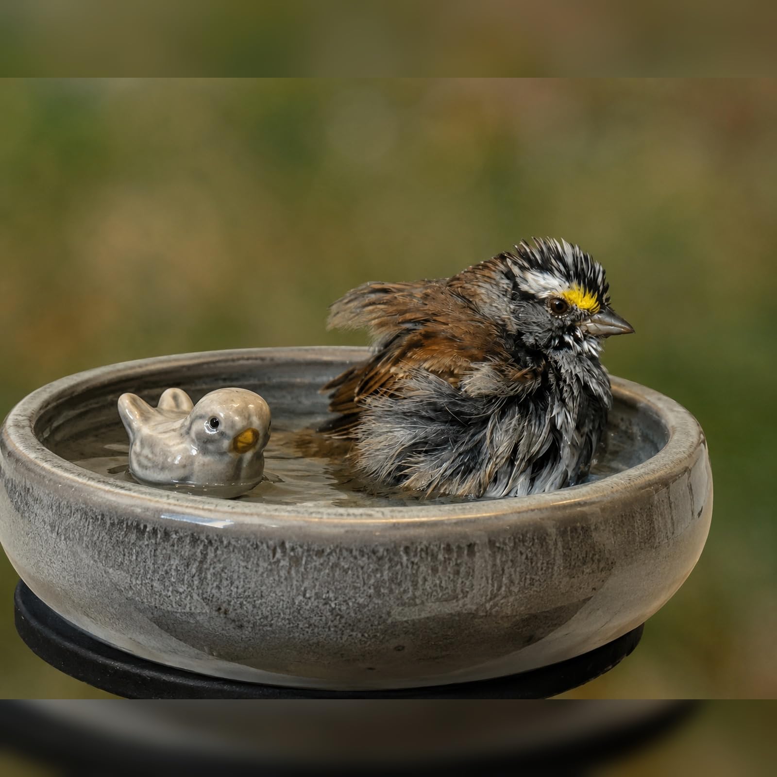 Glasierte Vogeltränke 35 cm aus Keramik – hochgebrannte Gartenschale für Vögel, Vogelbad & Wasserschale, hochwertige Vogeltränke in Grün oder Cappuccino, 8 cm hoch (grau)