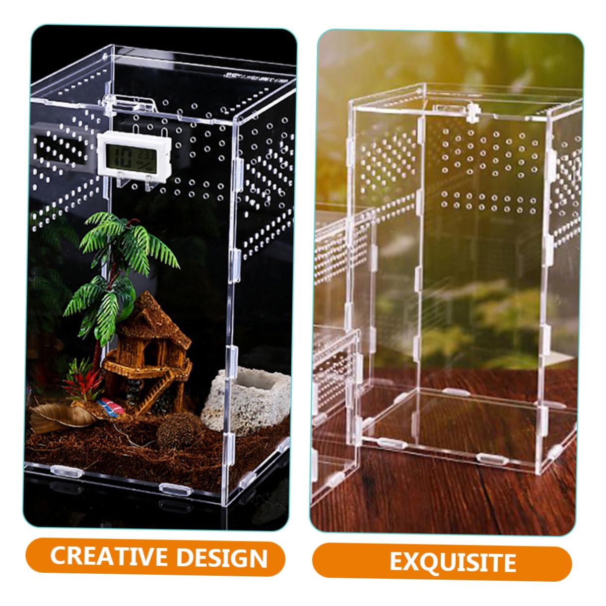 DOITOOL Kit Terrario per Rettili Nido per Rettili Contenitori Creativi Accessori per Terrari Trasportino per