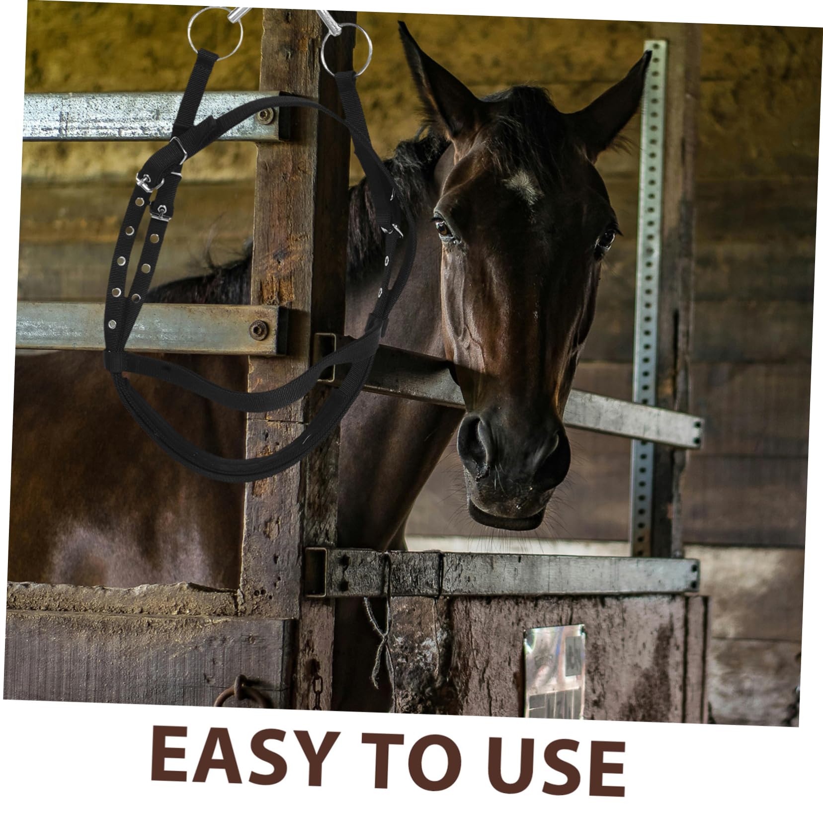 Didiseaon Redini Equestri Cavezza di Corda Cavezza da Cavallo Forniture per Stalle per Cavezza in Corda per Bovini Cavallo alla Capezza Cavezze di Corda Black Nylon