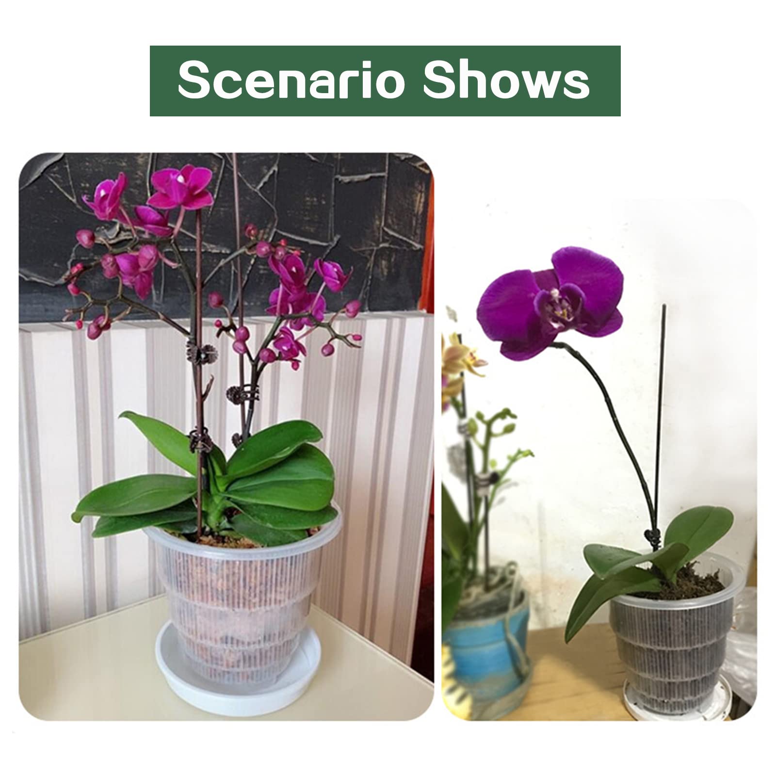 Kit 3 Vasi Orchidee Kalapanta Trasparente In Plastica E Sottovaso - Foto 10