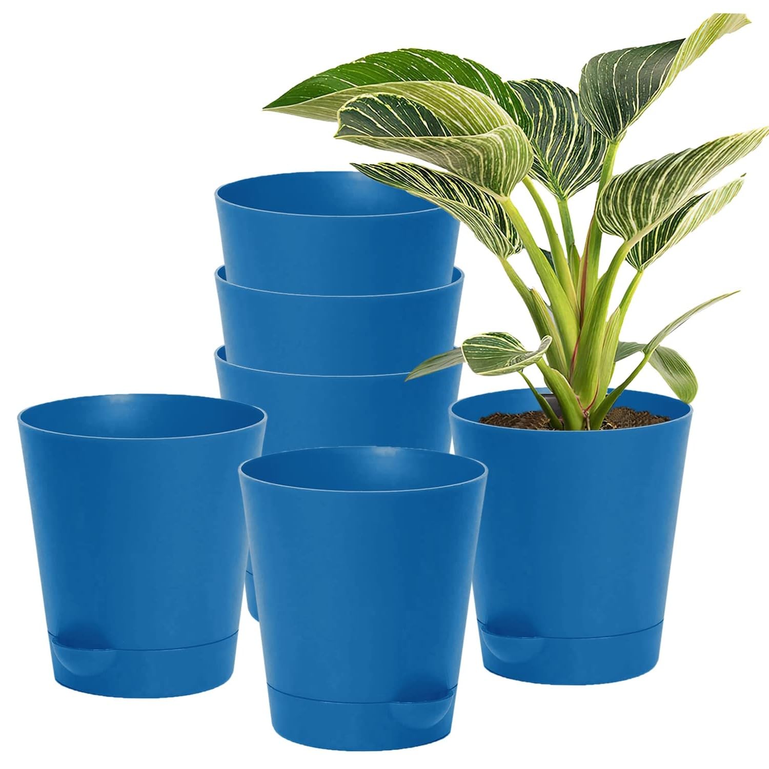 Guruji Plantation Self Watering Pots for Plants Home Decor Round Pot Set of 6 (4 Inch) for Home, Garden and Society (Blue)