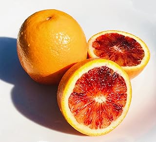 Kejora Fresh Blood Orange 4 LBS