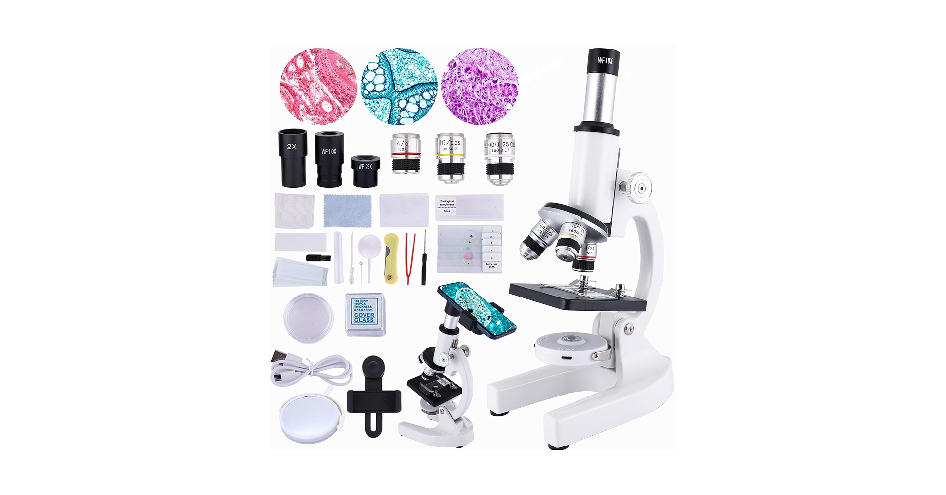 Amazon.com: OOZSTAR Microscope for Kids 40X-2000X