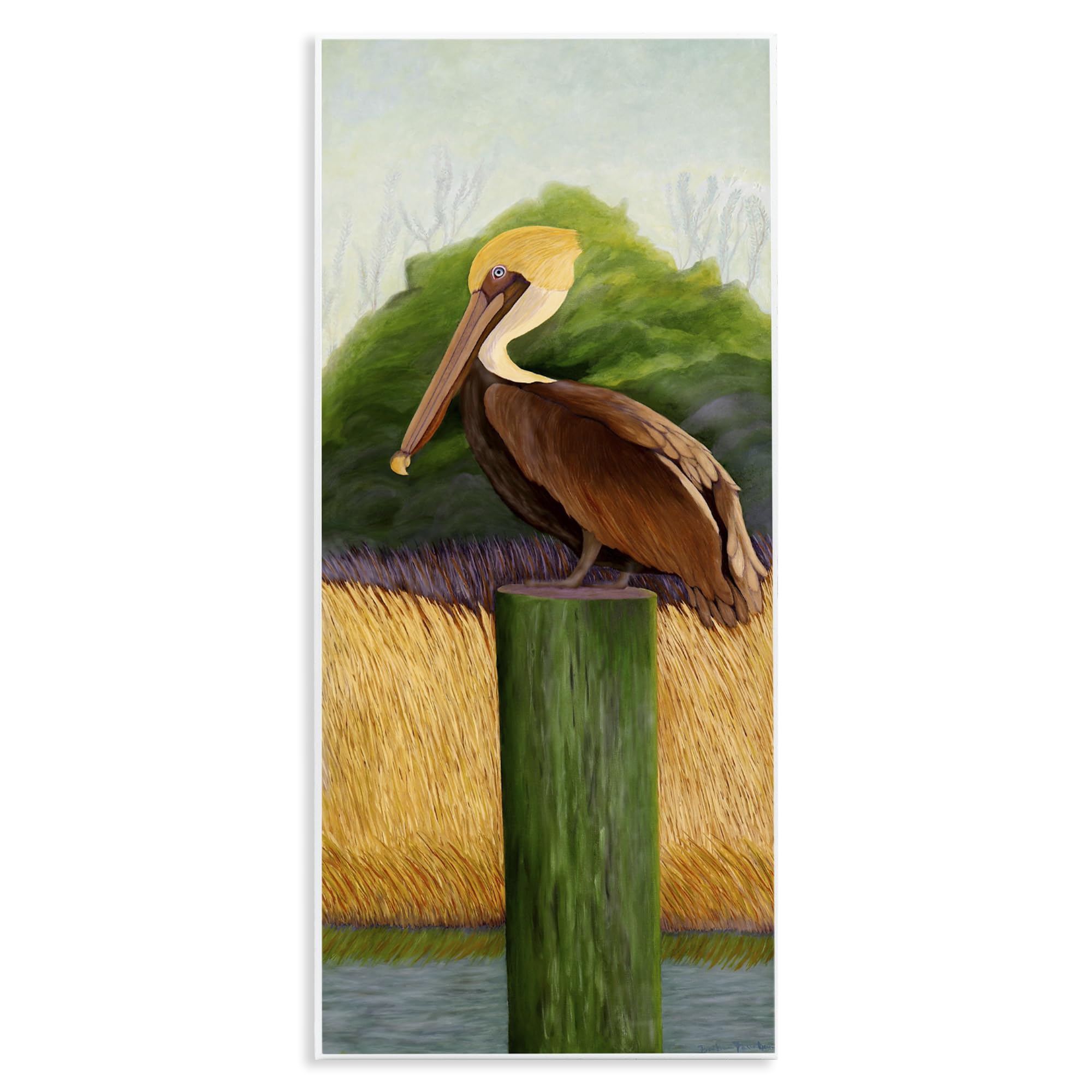 Stupell Industries 'Perched Blue Eyed Pelican', Wall Plaque Art, 7 x 17 Inches, Easy to Hang and Sturdy, Made in USA, by Barbara Fallenbaum