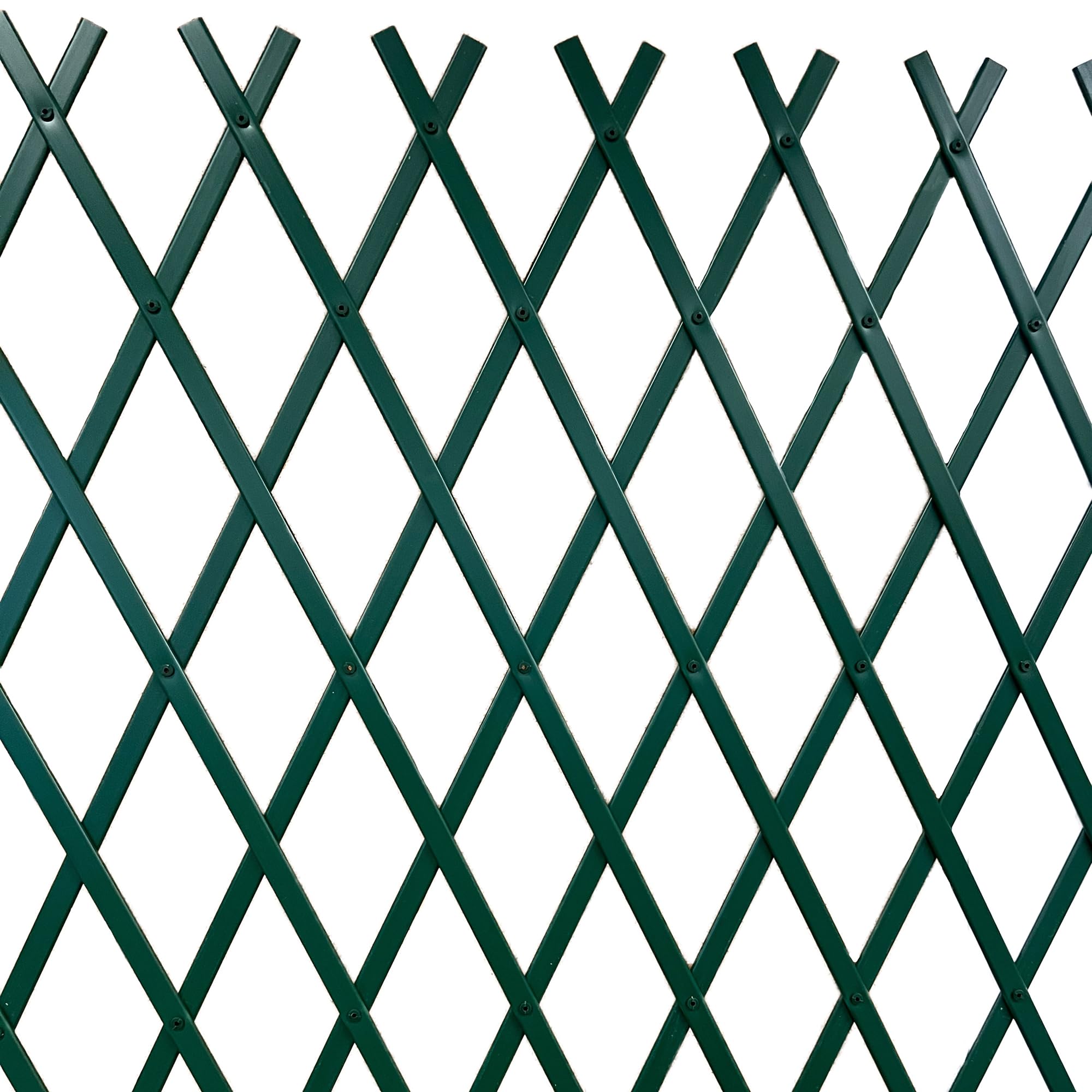 TENAX Treplas 100x300 cm, Verde, Traliccio Estensibile in PVC per Sostegno a Muro di Fiori e Piante Rampicanti