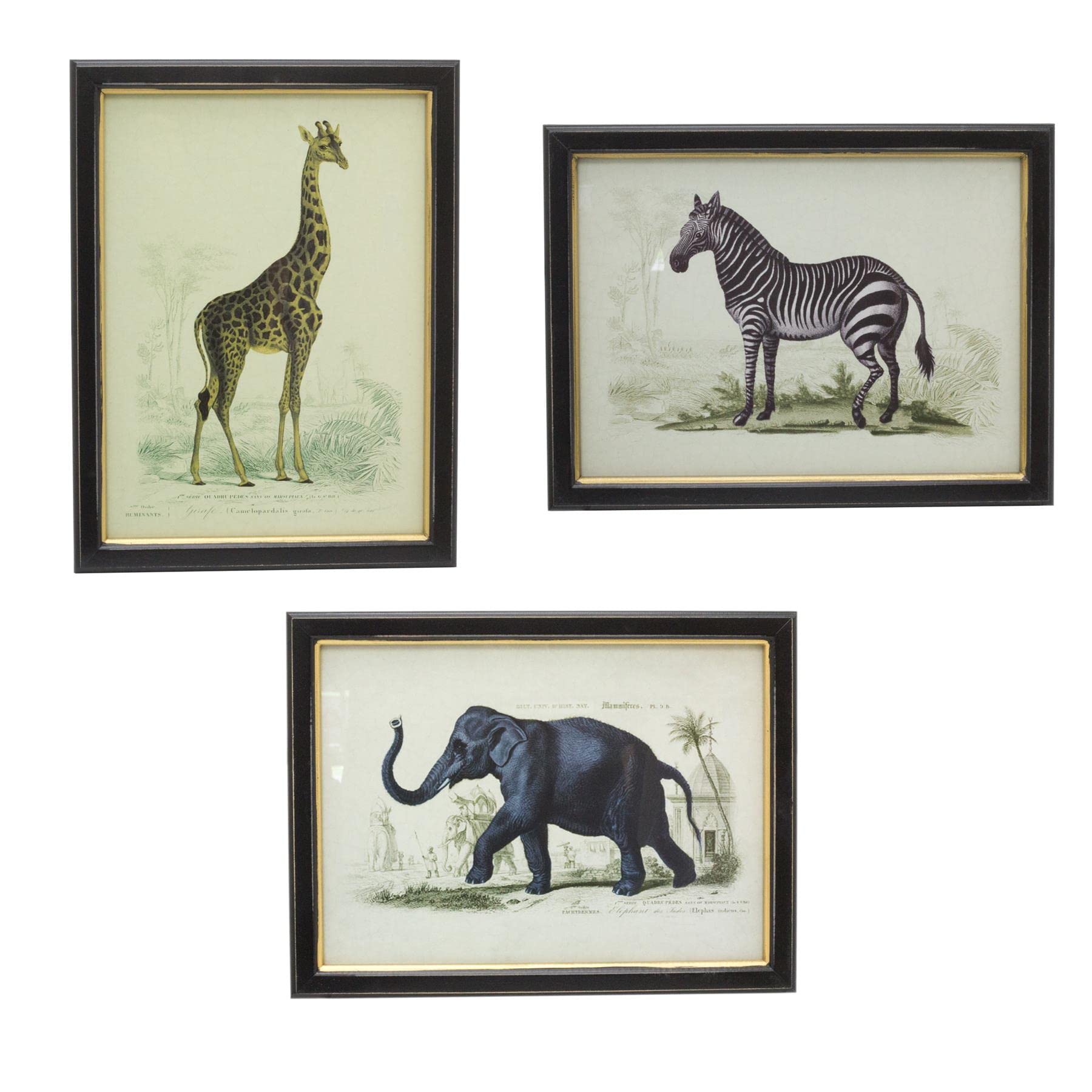 Set of 3 Safari Animal Pictures Wall Art | Zebra Elephant Giraffe Framed Prints
