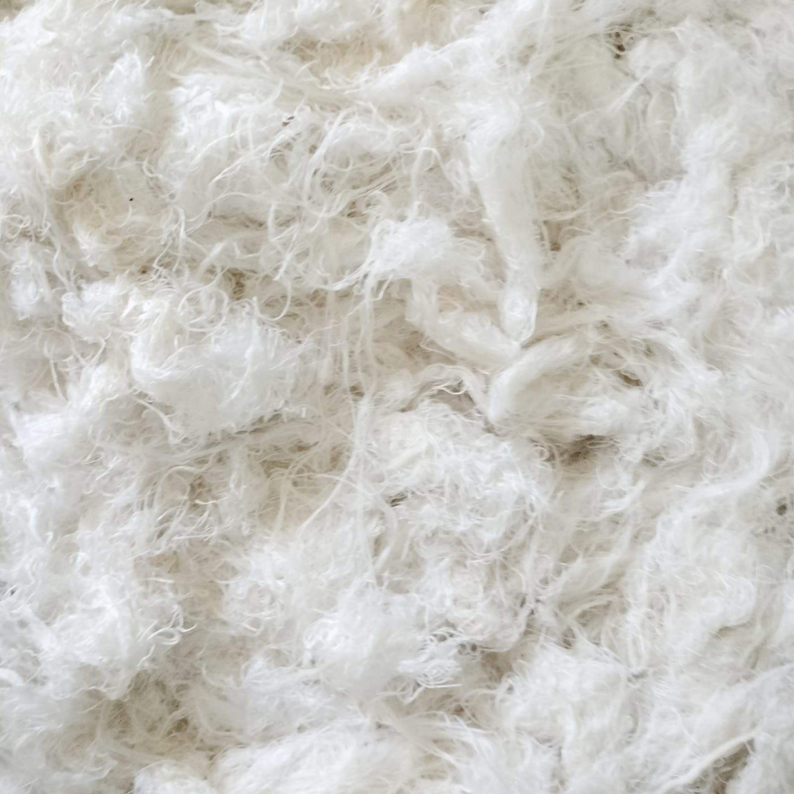 Cotton Waste for Multi Cleaning Purpose - White Waste - 5 kg (B0CG9KZSLP) Amazon Price History, Amazon Price Tracker