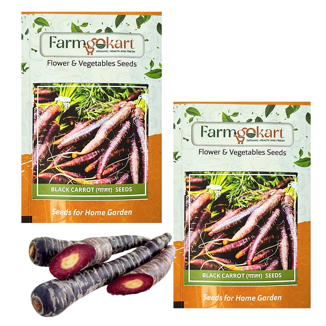 2 Packets of BLACK CARROT SEEDS (Appx 1000 Nos Seeds Per Packet)|Best Suitable For Terrace And Home Gardening | Quality vegetable and Herbs Seeds Pouch| (B0BQDMCBWR) Amazon Price History, Amazon Price Tracker