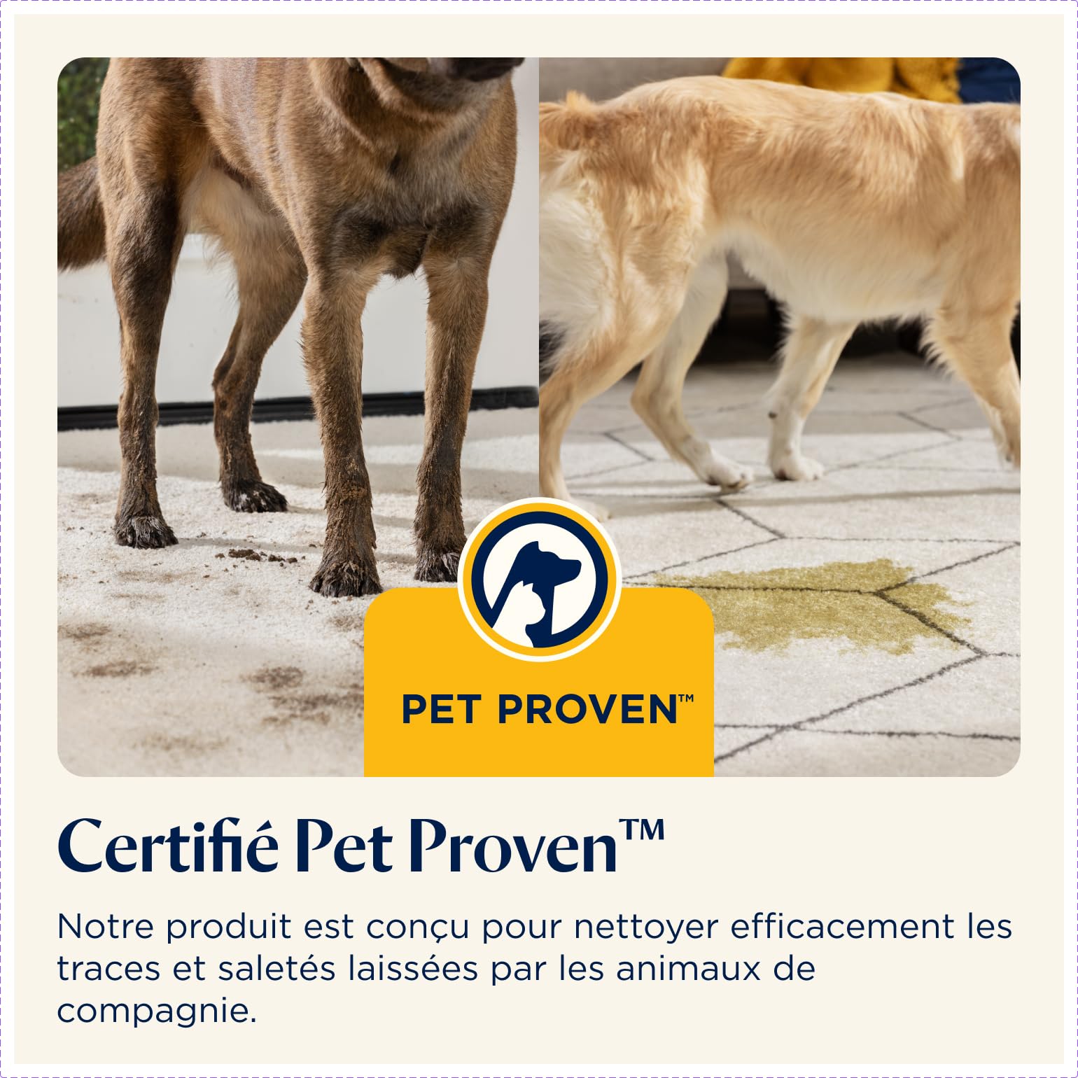 BISSELL PowerWash Compact Pet, Shampouineuse pour Taches et Odeurs d’Animaux, Nettoyeur Canapé Tissu Multisurfaces, Nettoyeur de Tapis, Moquette et Tapisserie, 600W, Portable, Filaire, 4058N
