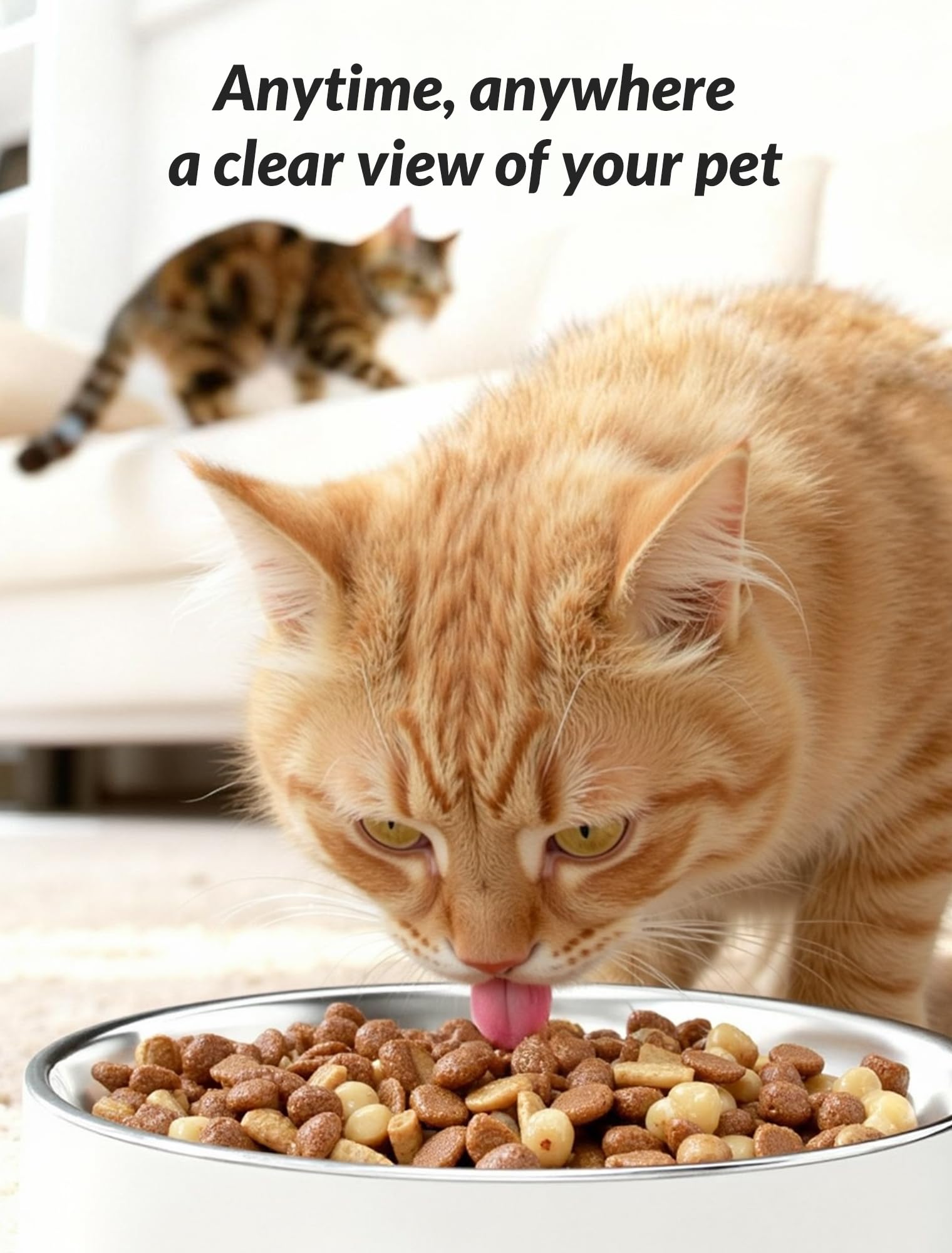 Automatic Cat Feeder with Camera, 5L Timed Cat Food Feeder,2-Way Audio & App Remote Control,Desiccant Bag,Auto Pet Dispenser for Cats and Dogs - image 2