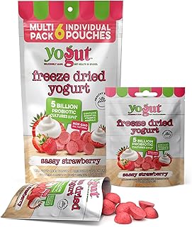 YoGut Freeze Dried Yogurt Snack, Strawberry, 6 Pack, Healthy Snacks for ...