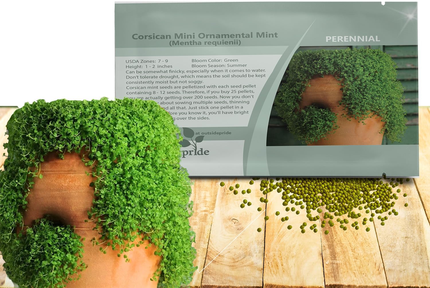 Outsidepride Mentha Corsican Mini Mint Seeds for Planting - 50 Pcs Pellets Perennial Drought-Tolerant Creeping Ground Cover Seeds for Lush, Aromatic Gardens, Ideal for Low-Maintenance Landscaping