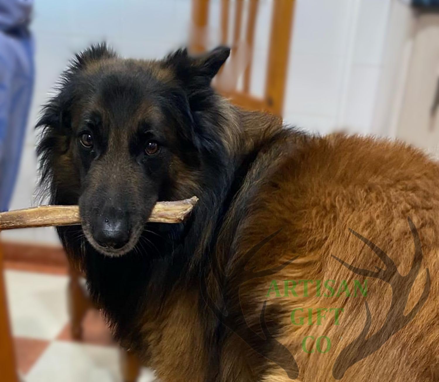 Nerfs de Bœuf pour Chiens 30 cm 5 u. Friandises Naturelles Déshydratées