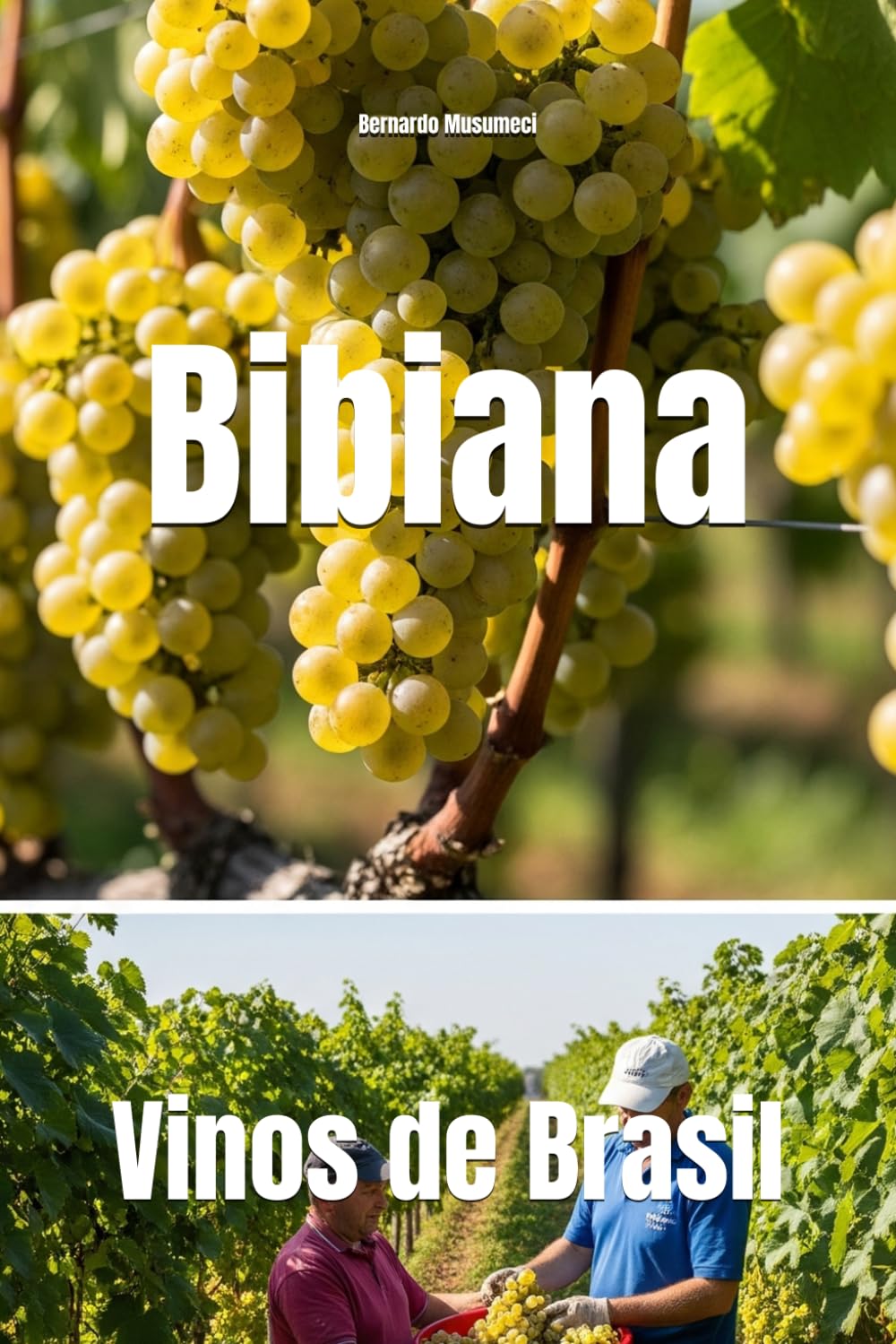 Bibiana: Vinos de Brasil (Wines of the World: Brazil)