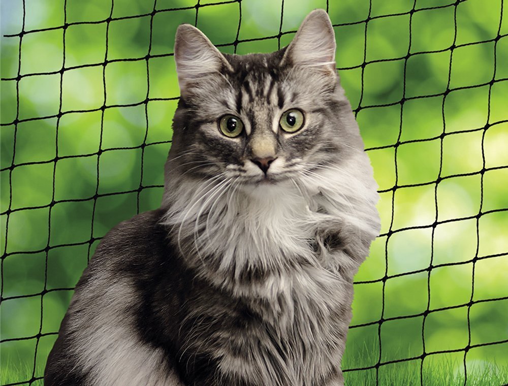 Nobby Pet Noir Protection Net For Cats S