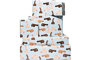 CENTRAL 23 Bachelorette Themed Naughty Bridal Shower Wrapping Paper