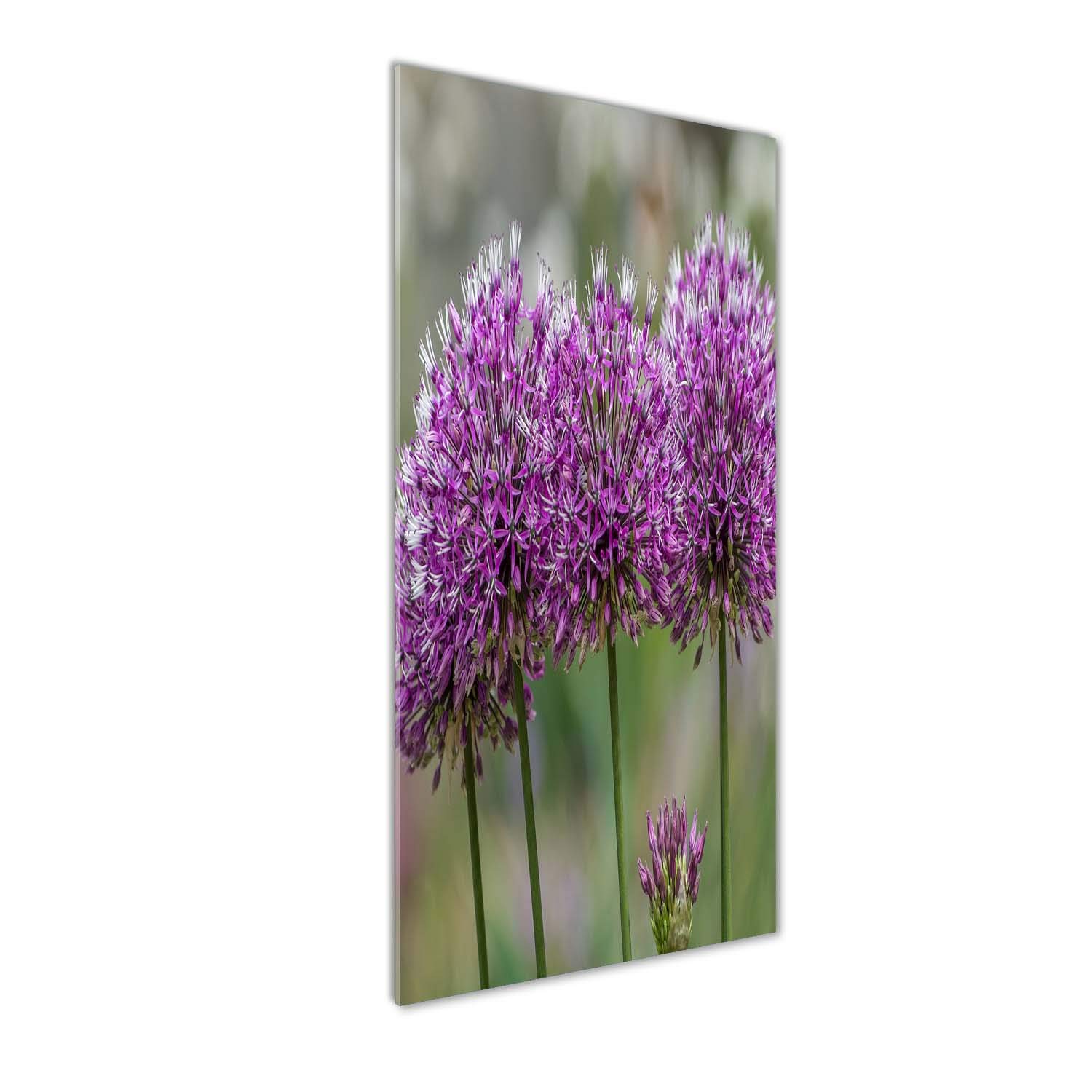 Impression sur verre acrylique haut de gamme Tulup fleurs d'ail 50x125
