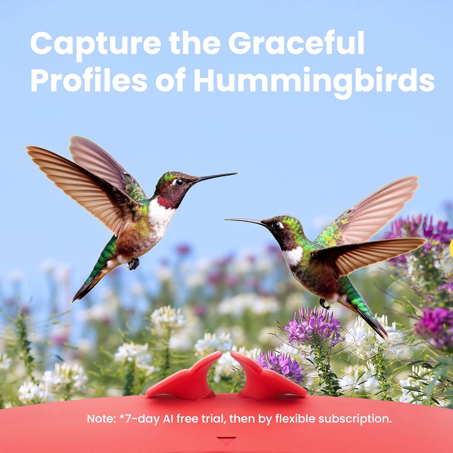 Birdfy Hummingbird Feeder with Camera & Solar Panel, Smart Bird Feeder with AI Recognition & Capture on Outdoors, Gardens, Easy to Clean, 14oz Capacity, SE - Image 4